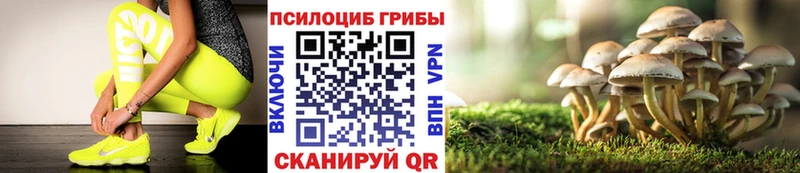 Купить закладки Сорочинск Псилоцибиновые грибы мицелий